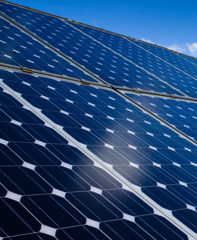 Pierantoni Sostenibilità